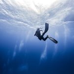 BAHAMAS LIVEABOARDS: AN AMAZING SCUBA DIVING EXPERIENCE